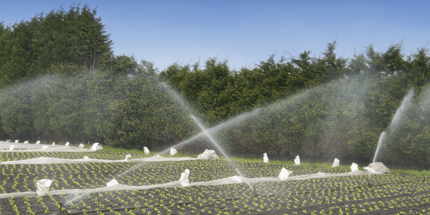 Düngesysteme (Fertigation)